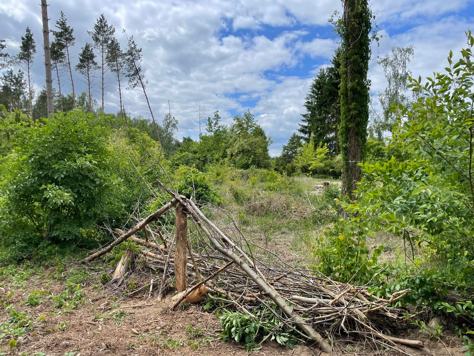 Arbeitseinsatz am 24.05.2025